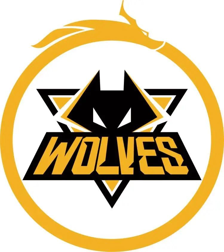 VCT CN发布XLG赛季阵容： happywei ／ VIVA ／ coconut ／ YoU ／ Rarga